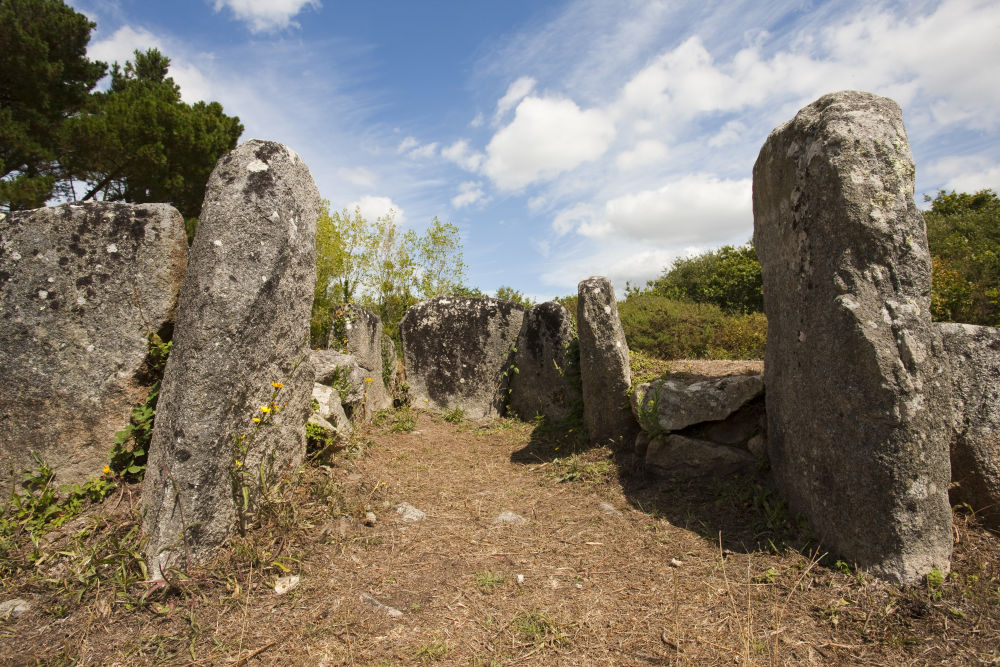 les atouts du patrimoine mégalithique de Ploemeur le Site du Cruguellic