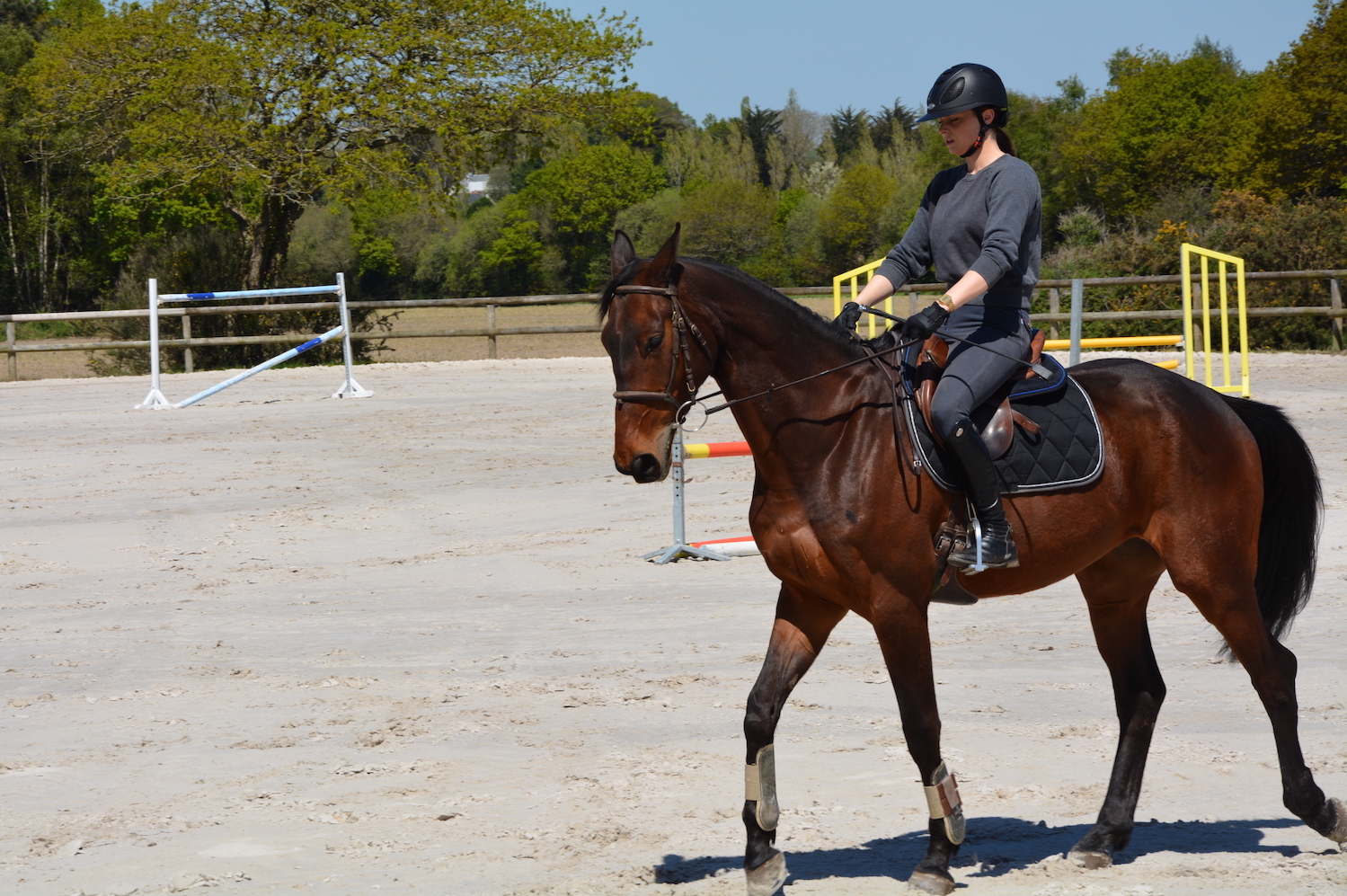 Centre equestre de Ploemeur