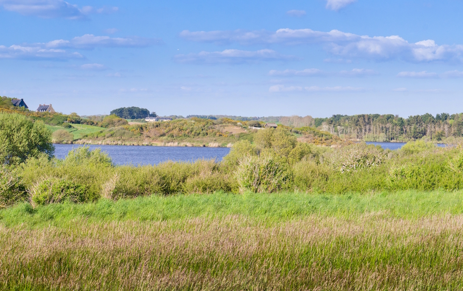 A voir à Ploemeur etang lannenec
